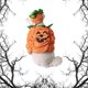 thumbnail image 1 of Conjunto de ropa y sombrero para mascotas, para fiestas de festivales, transformación de mascotas, cálido, con forma de calabaza, 2024, 1 of 8