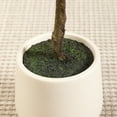 thumbnail image 2 of 7ft Artificial Black Olive Tree with 10.5 inch White Planter, Tall Fake Shady Lady Tree for Indoor Home Decor, Big Faux Plant Faux Olive Silk Tree for Home Decor and Gift, 2 of 8