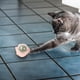 thumbnail image 3 of Juguete giratorio de bolas de catnip con nueces para la limpieza de dientes, 3 of 3