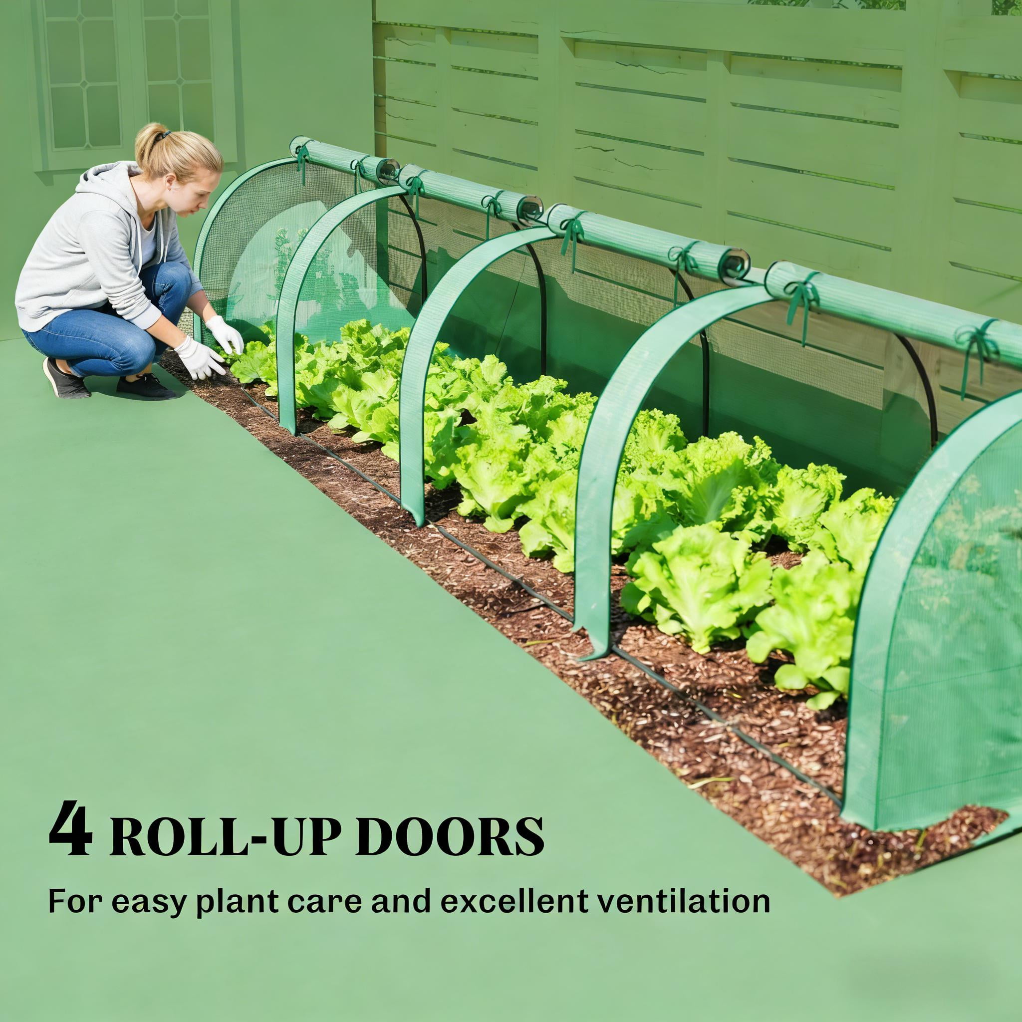 Mini Greenhouse