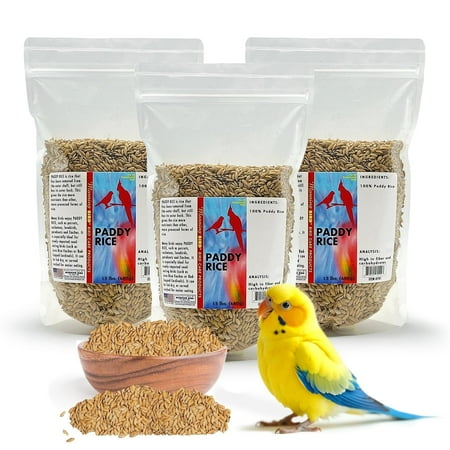 Morning Bird Paddy Rice 4.5 lbs (3-Pack, 1.5 lbs Each) Bird Seed for Optimal Health & Nutritious Pet Bird Food – Supports Feathers & Immunity – Ideal for All Seed Eating Birds