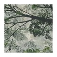 thumbnail image 4 of HAOXIT Elastic Edged Polyester Fitted Table Cover, Tree Branch in Look Up Wood Scene Photo Print Fitted Square Tablecloth 36*36, 4 of 8