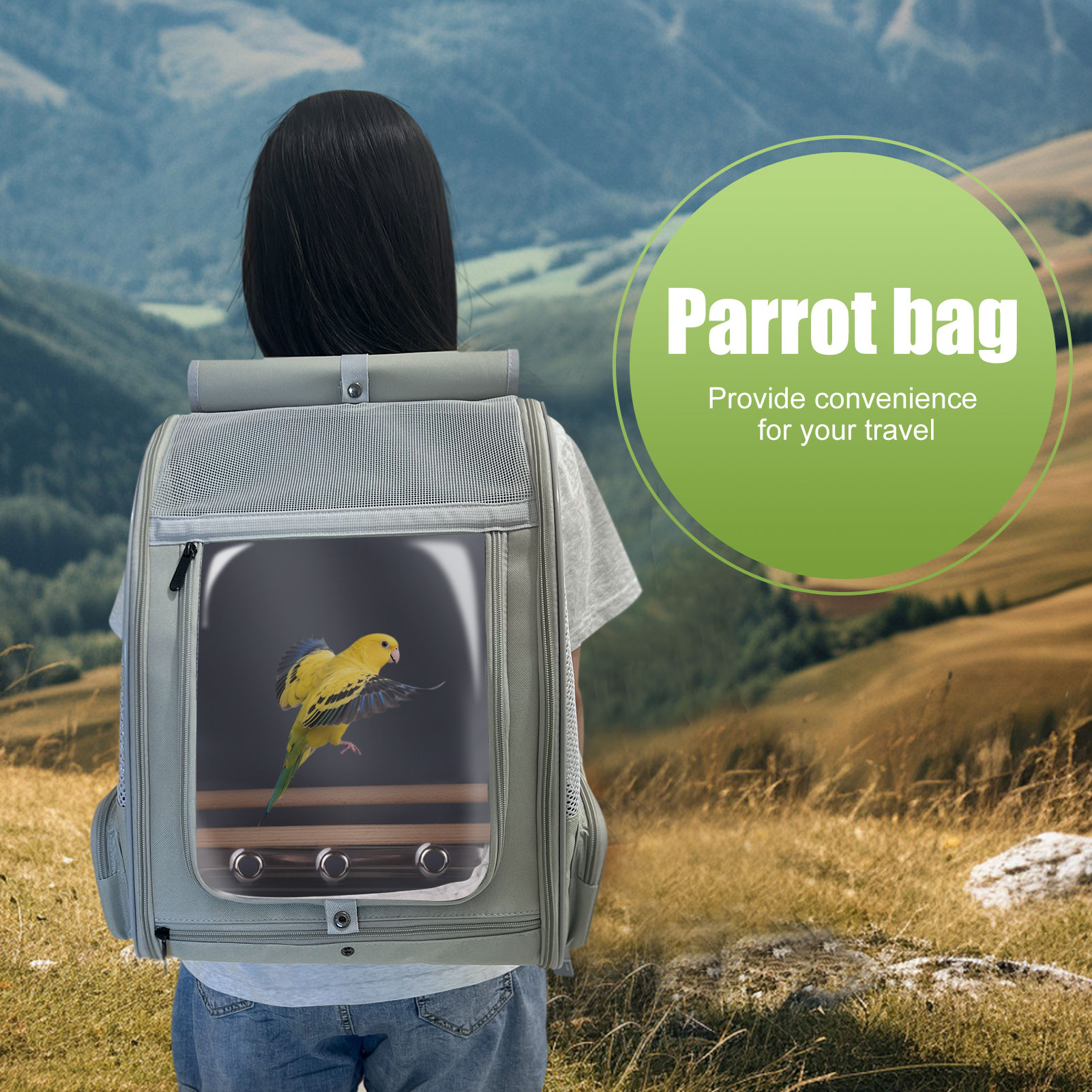 halinfer Bird Carrier Backpack, Pet Travel Cage with Standing Perches, Breathable Portable Transport Carrier for Parakeet, Budgie, Conure, Cockatiel, Small Parrot