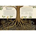 thumbnail image 3 of Fungarium: Welcome to the Museum, 3 of 3