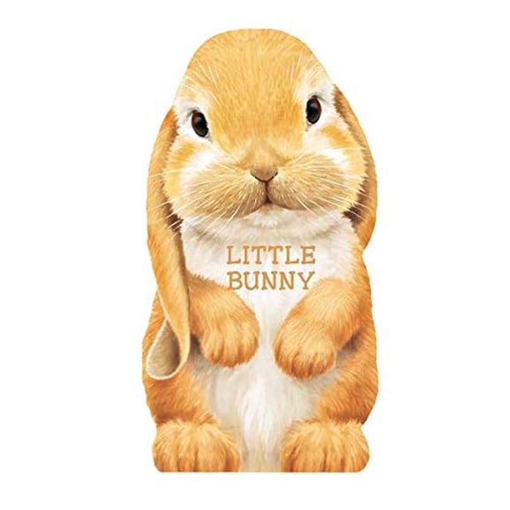 Pre-Owned Little Bunny: Mini Look at Me Books Paperback