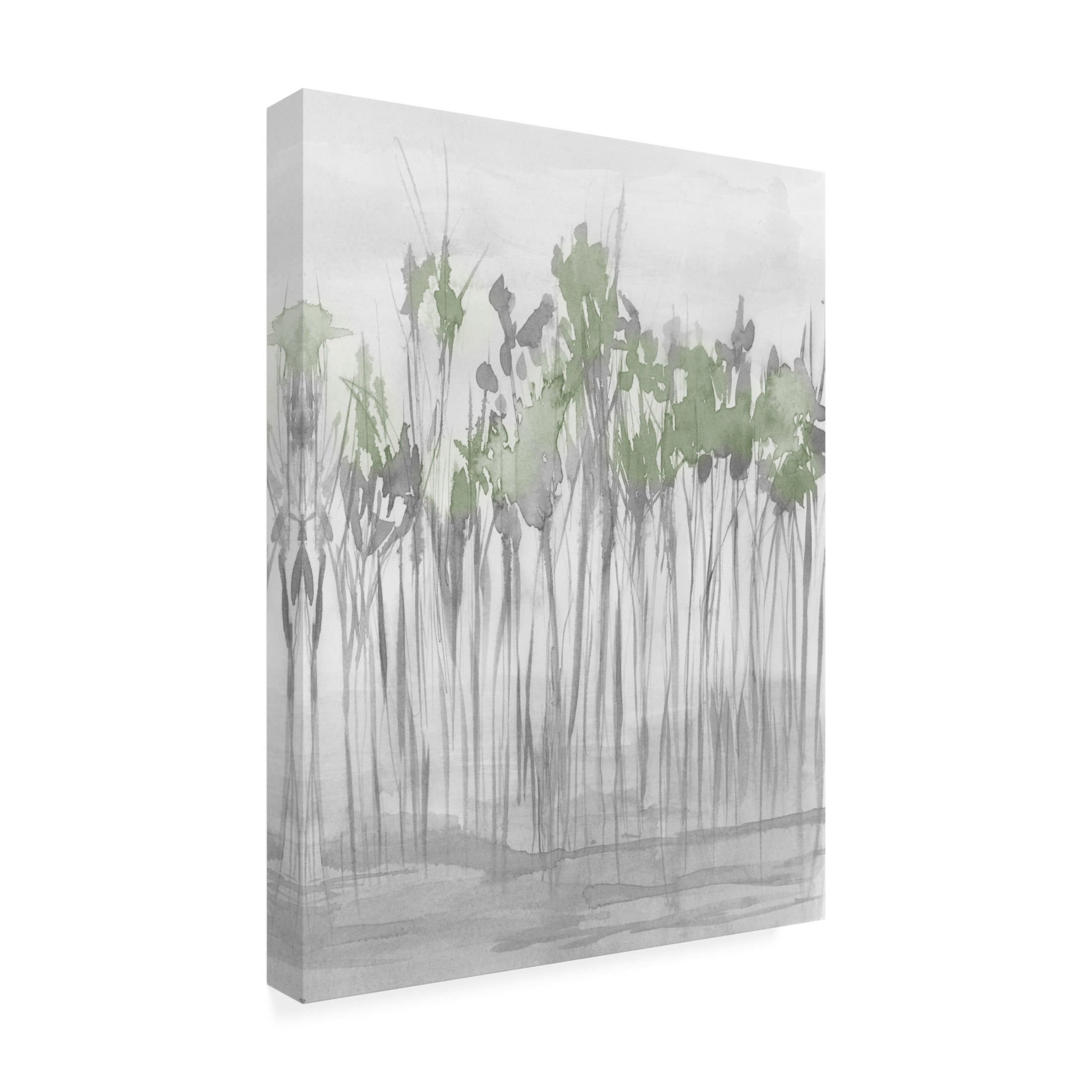 Trademark Fine Art Jennifer Goldberger  Silver Treeline II Canvas Wall Art