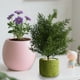 thumbnail image 5 of Decoración del hogar, decoración de habitaciones, plantas de simulación, plantas decorativas pequeñas en macetas, oficina, sala de estar, escritorio, bonsáis de interior, adornos biónicos, flores fals, 5 of 6