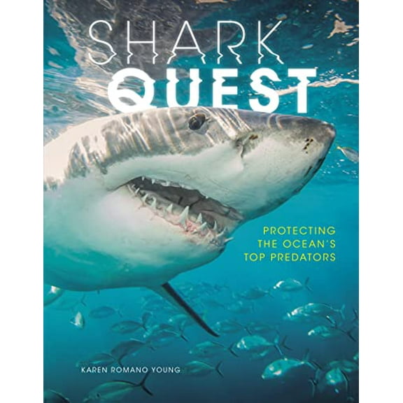 Pre-Owned Shark Quest: Protecting the Ocean's Top Predators (Paperback) 1728459842 9781728459844