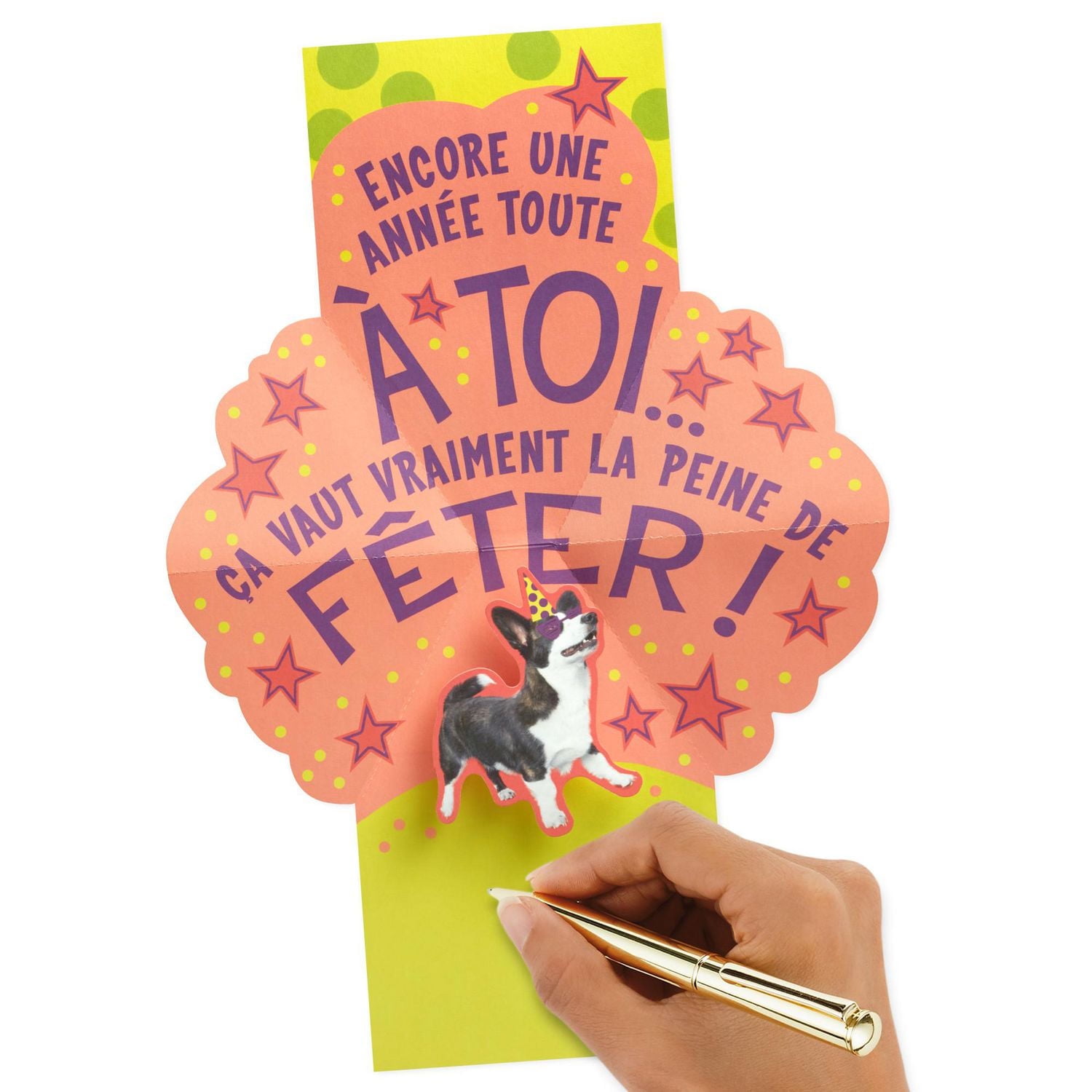 Carte de fête en relief – Hallmark (Chien de fête)
