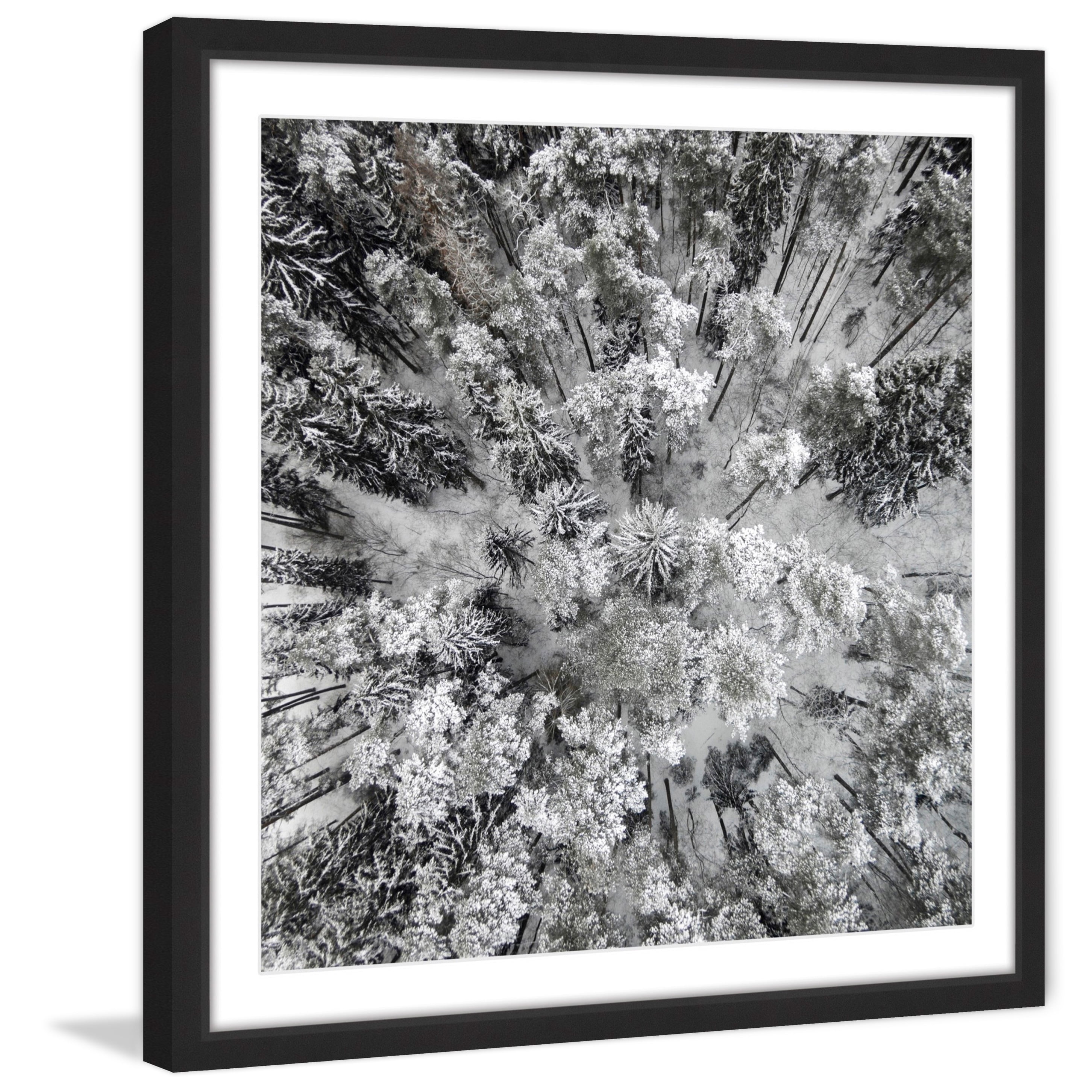 Marmont Hill "Tall and Cold" by Karolis Janulis Framed Painting Print