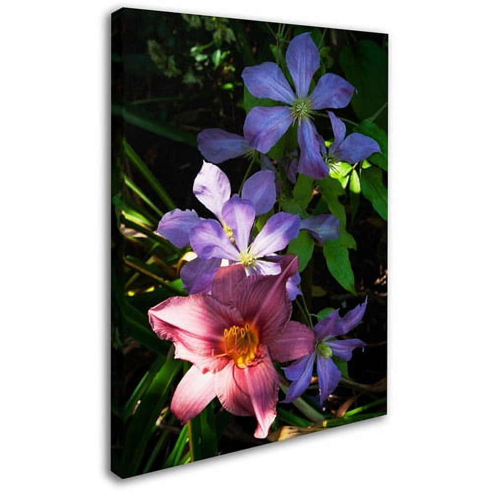 Trademark Fine Art "Clematis and Lily" Canvas Art by Kurt Shaffer