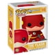thumbnail image 1 of POP The Flash Funko Funko Heroes: DC Universe, 1 of 2