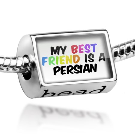 Bead My best Friend a Persian Cat from Greater Iran Charm Fits All European