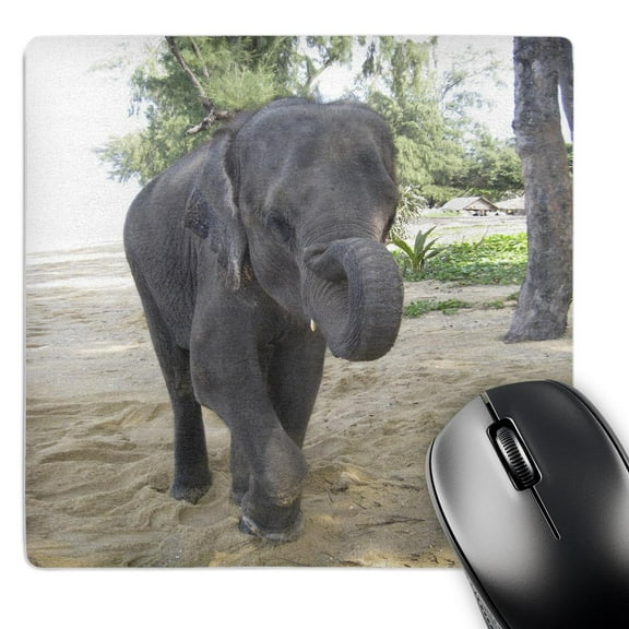 3dRose, Thailand Elephant, MousePad