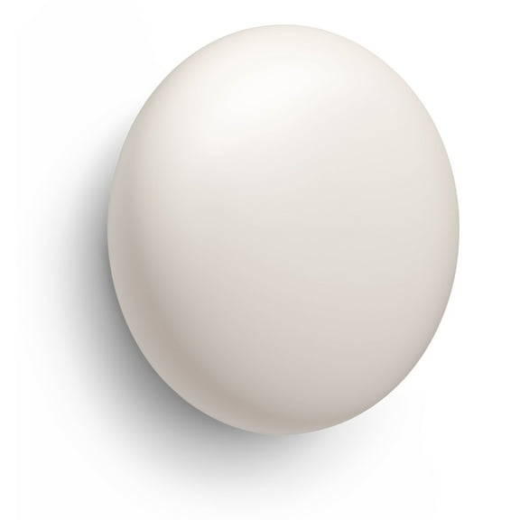 Google Temp Sensor (1pk) 2nd Gen