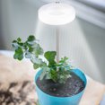 thumbnail image 3 of Cateissary La luz LED telescópica blanca crece amplia gama de aplicaciones para plantas de interior Luz de crecimiento LED para plantas Jardín y Patio 3.5 pulgadas de tres cabezas, 3 of 6