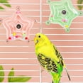 thumbnail image 3 of Parrot Decompression Toy Ufo & Biting Wheel Toy Bird Supplies, 3 of 7
