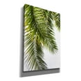 thumbnail image 2 of Epic Graffiti 'Palm Leaves' by Lexie Greer, 18"x26", 2 of 8