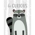 thumbnail image 2 of Robinson, Tamara 15x18 Black Ornate Wood Framed with Double Matting Museum Art Print Titled - Be Curious Raccoon, 2 of 4