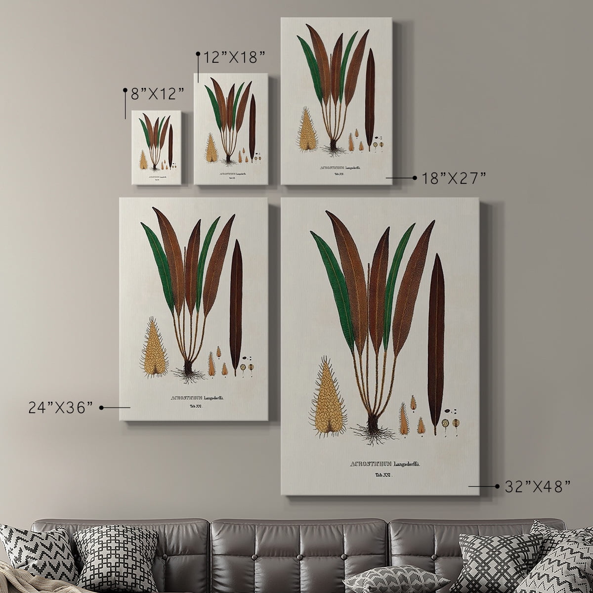 Botanical Society Ferns I Premium Gallery Wrapped Canvas - Ready to Hang