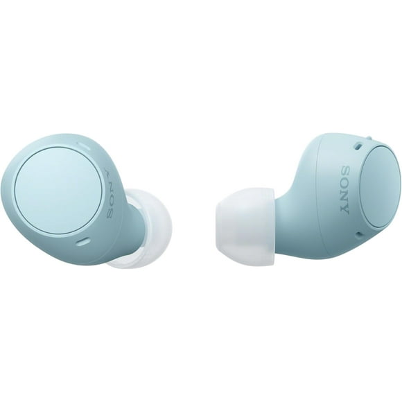 Sony WF-C510 Truly Wireless In-Ear Bluetooth Earbuds, Up to 22-Hour Battery with Case, 5-Min Quick Charge, Multipoint, IPX4 Water Resistant, Built-in Mic, Compact Lightweight Fit, Blue