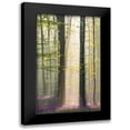 thumbnail image 1 of VLAICU, Denisa 10x14 Black Modern Framed Museum Art Print Titled - Misty sunrise in Hallerbos, 1 of 5