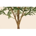thumbnail image 2 of EastVita 6FT Artificial Olive Tree,Faux Silk Olive Trees with Wood Trunk & Lifelike Fruits,2 Pack,Set of 2, 2 of 6