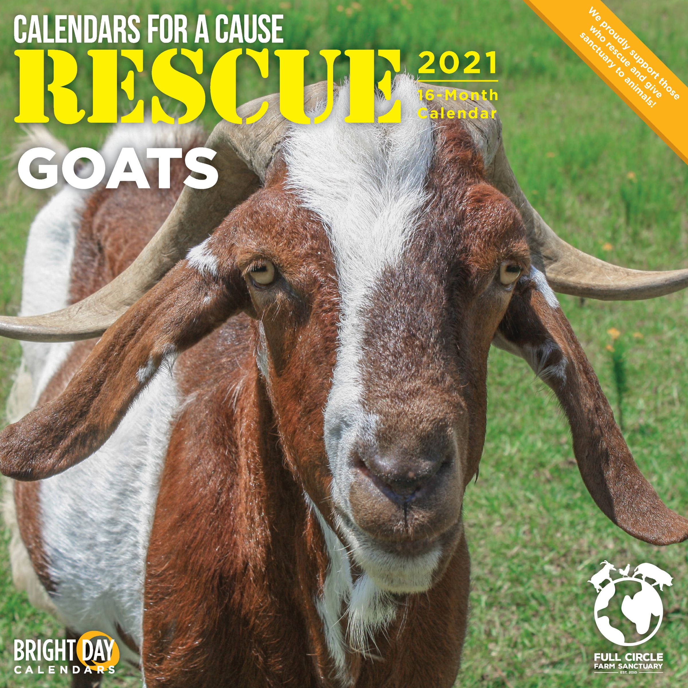 2021 Rescue Goats 12 x 12 Wall Calendar Cute Farm Animals