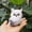 As shown, variant on Uuiauoio Plush White Owl Christmas Tree Ornament Hanging Decorations for Holiday Party Festive Home Decorations Cute Animal Themed Gift