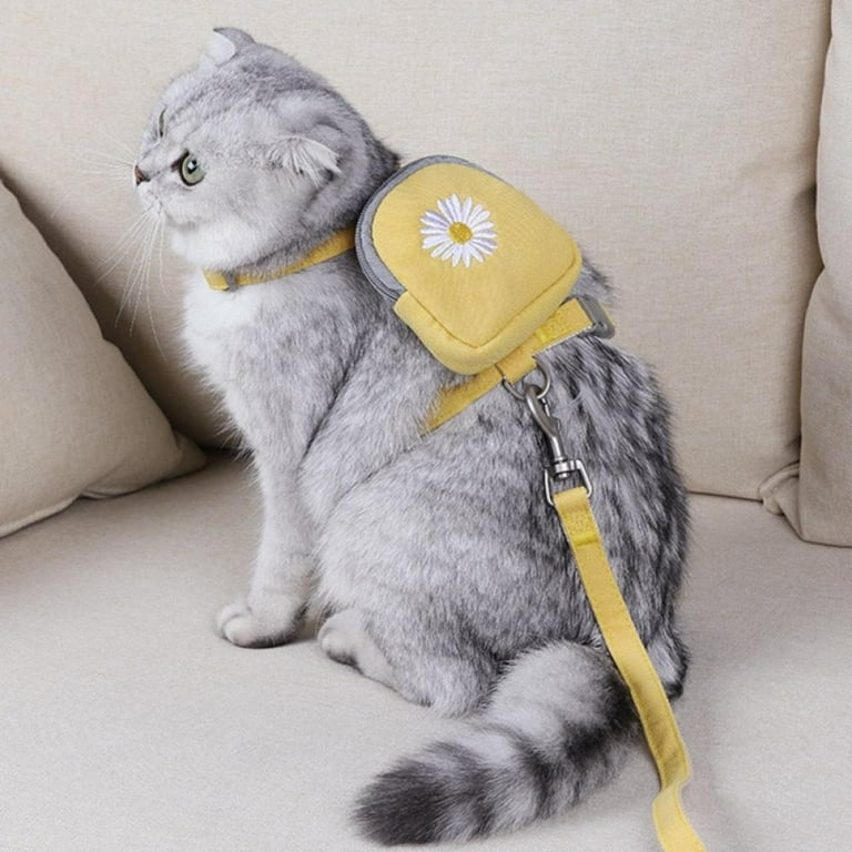 Backpacks with cats online