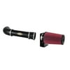 Airaid 401-115 SynthaMax Dry Filter Intake System Fits select: 1997-2003 FORD F150