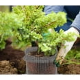 thumbnail image 5 of 2 Pack Plant Root Guard Baskets,Stainless Steel Wire Baskets Protect Plant Roots,Gopher Wire Speed Baskets,Stainless Steel Mole and Vole Baskets for Garden Plant Root Protection, 3 Gallon, 5 of 7