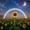 Sunflower Moon, variant on Yayeee 2 Pack Qtip Holder Bathroom Cotton Swab Canister with Lid Clear Dispenser Set, Cat Clover