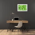 thumbnail image 3 of Carter, Jean 32x23 White Modern Wood Framed Museum Art Print Titled - CA, Redwoods Spring canopy of vine maple leaves, 3 of 4