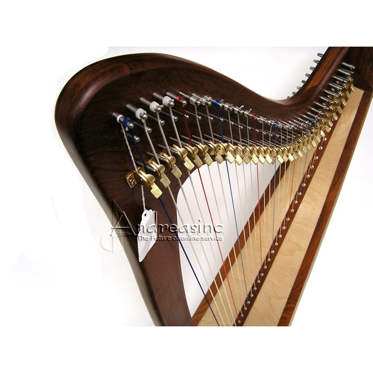 Ems harp 2024