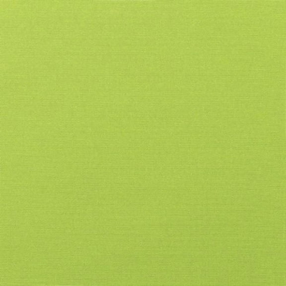 Sunbrella Canvas Macaw 5429-0000 Indoor/Outdoor Upholstery Fabric By The Yard