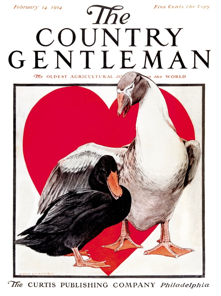 Cover Of Country Ge