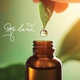 thumbnail image 4 of My Land Organic Oil of Oregano, Pure with 82% Min Carvacrol, 0.34 fl oz, 4 of 5