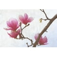 thumbnail image 2 of Vest, Chris 24x17 White Modern Wood Framed Museum Art Print Titled - Painted Magnolias I, 2 of 4
