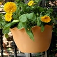 thumbnail image 2 of FNGZ Flower Pots Clearance Plastic Flowerpot Beautiful Looking Hg 3044 Wall Hanging Basin, 2 of 5