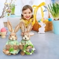 thumbnail image 6 of Easter Decoration Set Spring Home Decor, Bunny Decor for Home, Indoor, Tiered Tray, Spring Rabbit Stuffed Centerpiece Table, Easter Basket Stuffers Essentials for Women, Gnome Surprise, 6 of 7