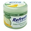 Refresh Your Car 4.5 oz Scented Gel -Cucumber Melon
