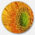 thumbnail image 2 of Designart - Yellow Daisy Gerbera Flower Close up' Disc Flowers Large Metal Circle Wall Artwork, 2 of 4