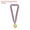 Gold, variant on Uxcell Blank Award Medals, 10 Pack Gold Award Medal with Neck Ribbon, Make Your Medals Kit