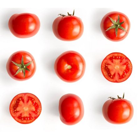 Celebrity Red Heirloom Tomato Premium Seed Packet