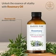 thumbnail image 3 of Majestic Pure Rosemary Essential Oil with Glass Dropper - Huge 4 Fl Oz - 100% Pure and Natural Rosemary Oil - Premium Grade Essential Oils for Diffuser, Aromatherapy, Soap and Candle Making, 3 of 8