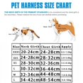 thumbnail image 4 of Arnés para gatos, arneses y correas reflectantes para mascotas, arnés ajustable para mascotas, para gatos, perros pequeños, pugs, chihuahuas, accesorios para gatos, 4 of 5