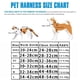 thumbnail image 4 of Arnés para gatos, arneses y correas reflectantes para mascotas, arnés ajustable para mascotas, para gatos, perros pequeños, pugs, chihuahuas, accesorios para gatos, 4 of 5