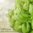 thumbnail image 4 of GreenHealth 100% Pure Rose Geranium Essential Oil - Uncut, Natural Aromatherapy Oil - 1 fl oz, 4 of 5