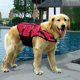 thumbnail image 2 of Dog Life Vest Safety Coat Swimming Flotation Life Vest with Handle for Small Dog Large Dog BoneRed M, 2 of 5